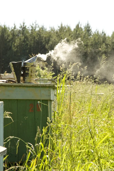 Fumătorul apicultorului cu fum fotografii de stoc fără drepturi de autor