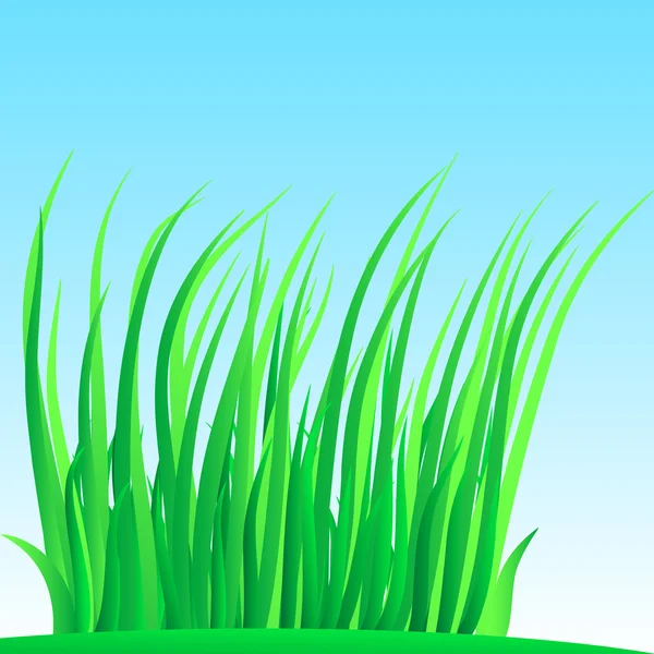 WISP av frodiga gräset. — Stock vektor