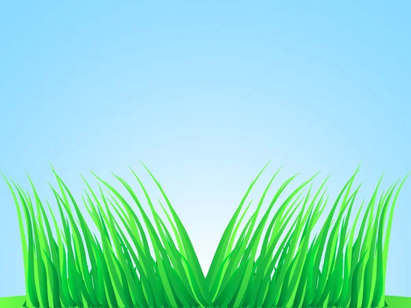 Spitzen von üppigem Gras. — Stockvektor