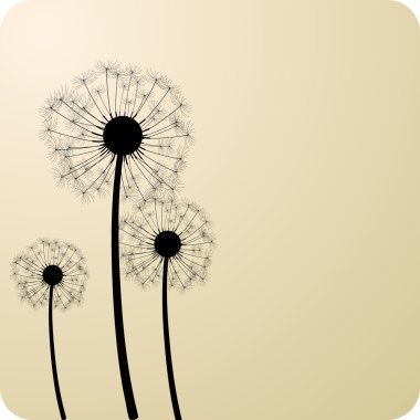 Dandelions. clipart