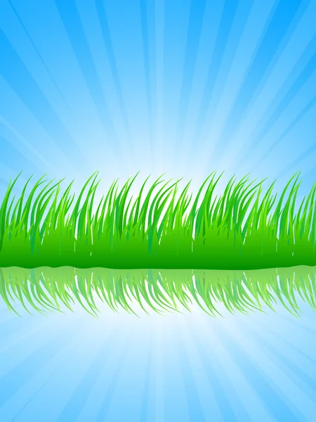 Lush grass. — Stock Vector