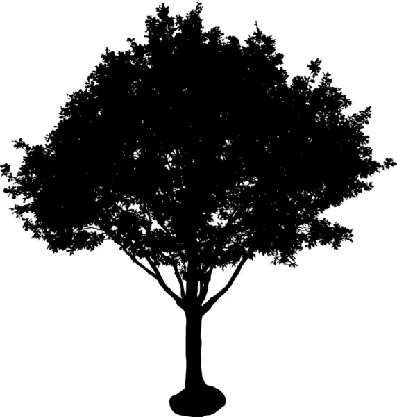 Sylwetka drzewa — Wektor stockowy