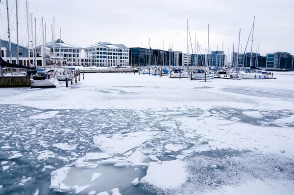 Kışın liman — Stok fotoğraf