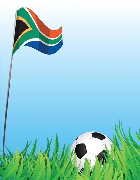 Aire de jeux de football, Afrique du Sud — Image vectorielle