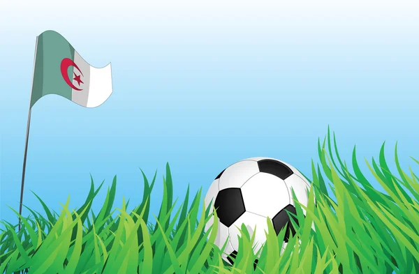 Piłka nożna plac zabaw dla dzieci, Algieria — Wektor stockowy