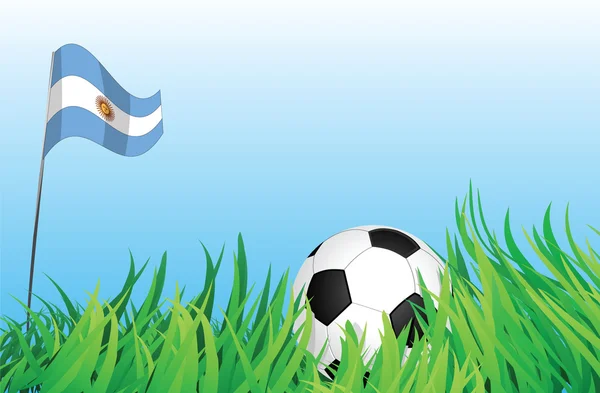 Fotboll lekplats, argentina — Stock vektor