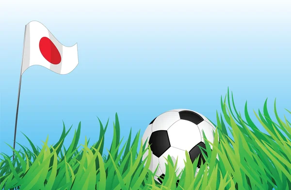 Aire de jeux de football, Japon — Image vectorielle