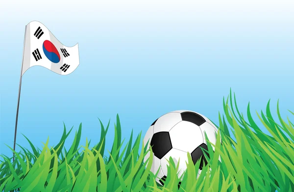 Aire de jeux de football, Corée du Sud — Image vectorielle