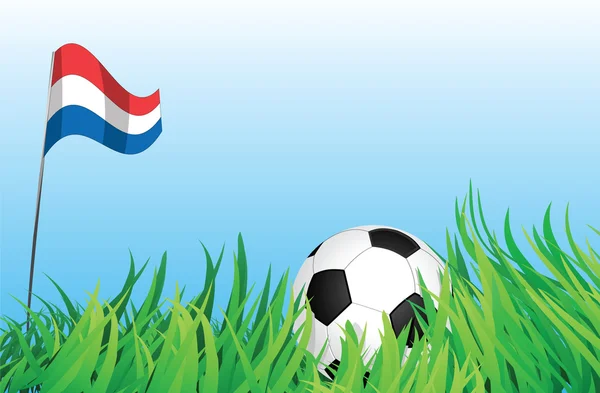 Fotbalové hřiště, Nizozemsko — Stockový vektor