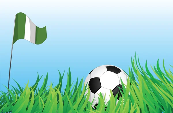 Voetbal Speeltuin, nigeria — Stockvector