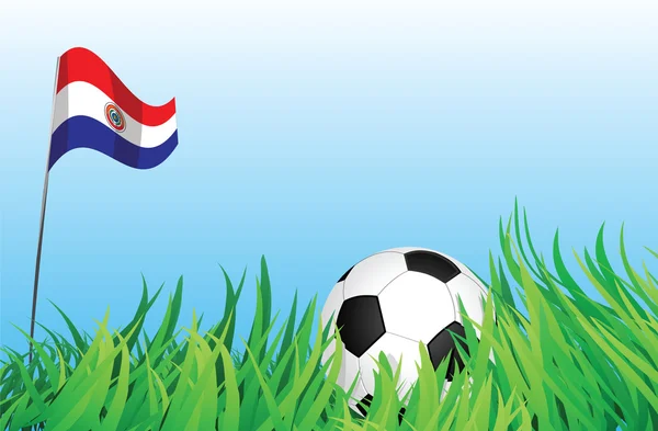 Piłka nożna plac zabaw dla dzieci, Paragwaj — Wektor stockowy