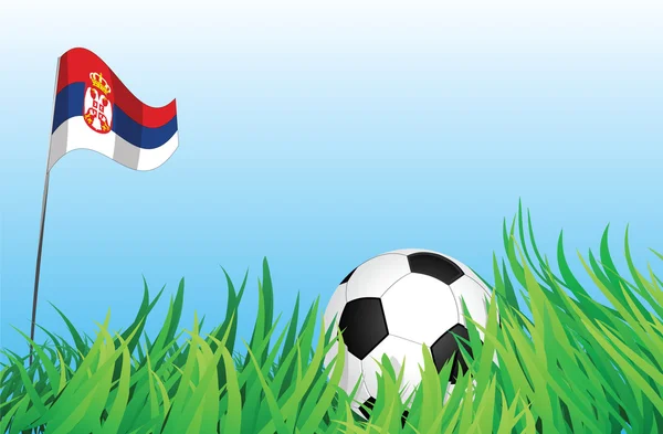 Aire de jeux de football, serbie — Image vectorielle