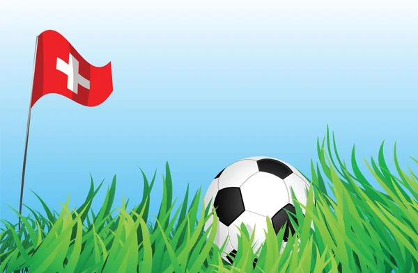 Fotbalové hřiště, Švýcarsko — Stockový vektor