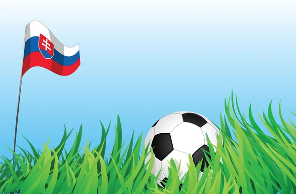 Fotboll lekplats, Slovakien — Stock vektor