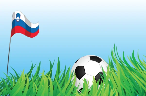 Aire de jeux de football, slovenia — Image vectorielle