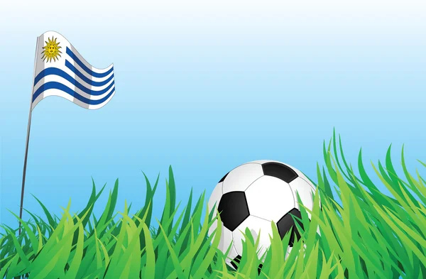 Zona de juegos de fútbol, uruguay — Vector de stock