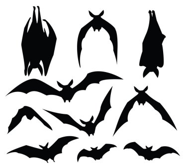 Bat silhouette clipart