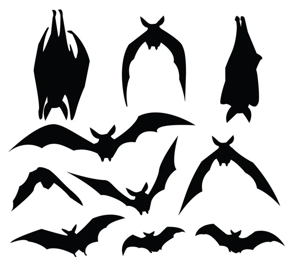 Bat silhuett — Stock vektor