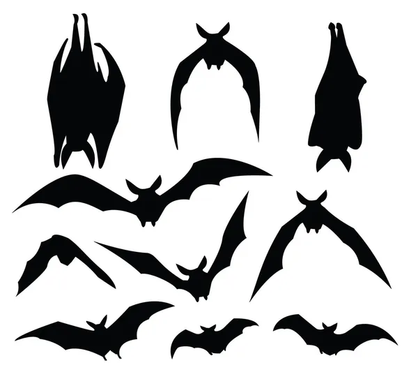 Bat silueta — Stockový vektor