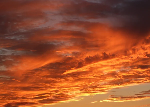 stock image Clouds