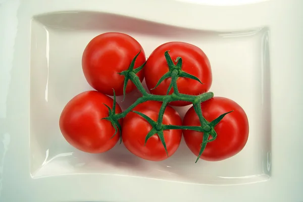 stock image Tomaten