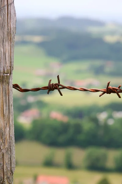 stock image Barbed wire