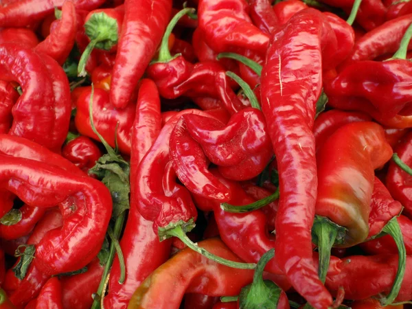 Mesilla: Cayenne-type chili — Stock Photo, Image