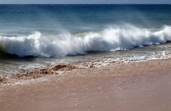 Vlna na pláži — Stock fotografie