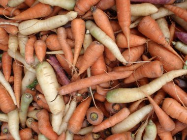 çok renkli havuç çiftçi market