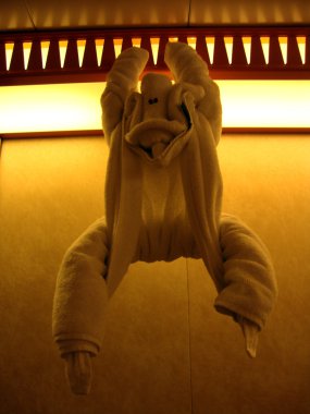 Etrafında asılı havlu maymun