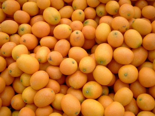 Çiftçiler kumquats Pazar — Stok fotoğraf