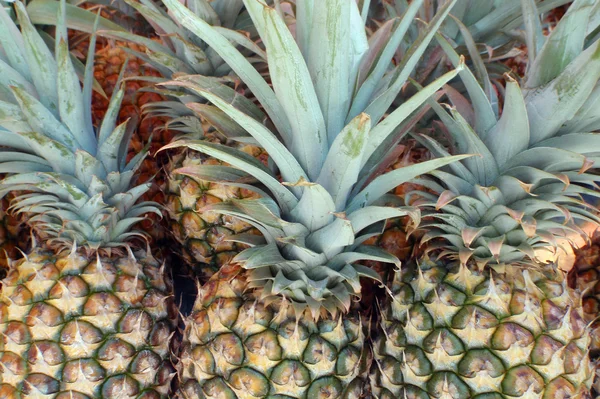 Rolników na rynku ananasy — Zdjęcie stockowe