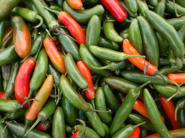 Multi colorido (verde e vermelho) pimentas quentes — Fotografia de Stock