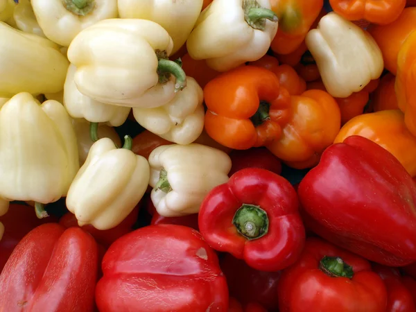 Coleção de pimentas coloridas — Fotografia de Stock
