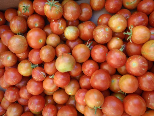 Ramo de tomates cereza rojo-naranja —  Fotos de Stock