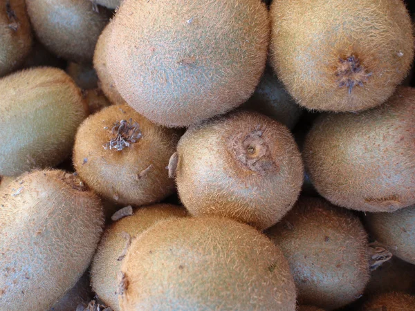 Voedsel veel van kiwi fruit. Close-up . — Stockfoto