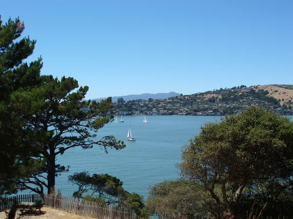 Looking out from Angel Island — Stock Photo, Image