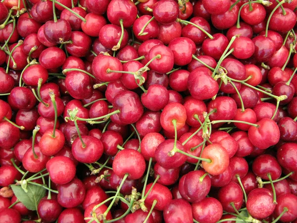 Pile of Organic Cherries — Stock Photo, Image
