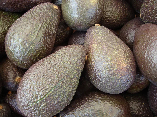 Спелые авокадосы — стоковое фото