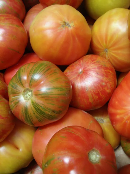 Tomates de reliquia —  Fotos de Stock