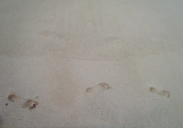 Stampe di piedi a Beach Sand — Foto Stock