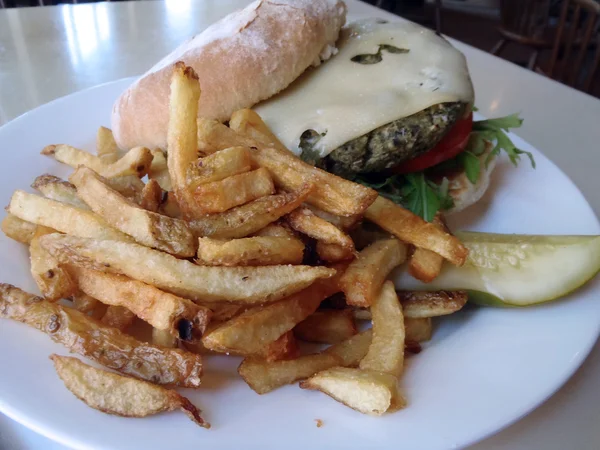 Friet en een veggie hamburger — Stockfoto