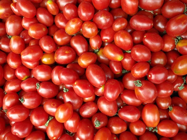 红色葡萄西红柿 — 图库照片