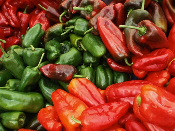 Velké červené a zelené papriky organických — Stock fotografie