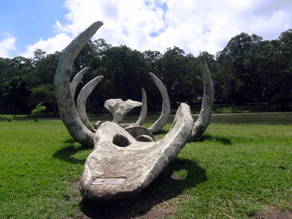 Grande scheletro di dinosauro acquatico esposto in un parco vicino a un lago — Foto Stock