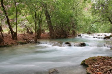 Havasu Şelalesi kamp