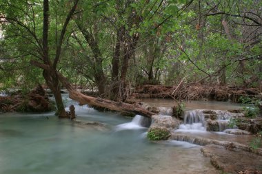 Havasu Şelalesi kamp