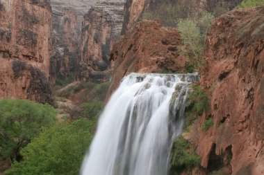 Havasu Falls clipart