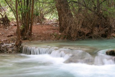 Havasu Şelalesi kamp