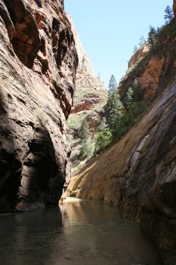 Zion Narrows clipart